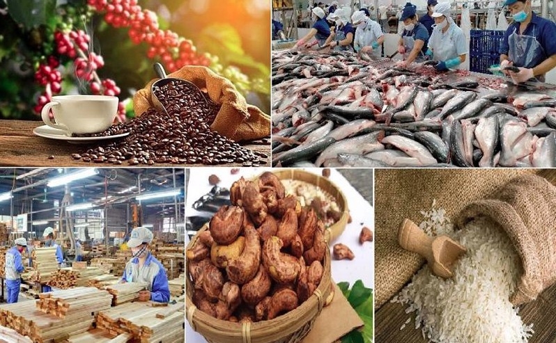 MoIT targets market diversification and 12% export growth